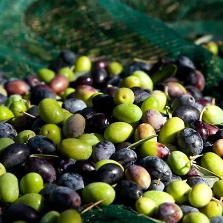 Bed & Breakfast Borgo Antico Papasidero